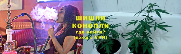 эйфоретик Богданович