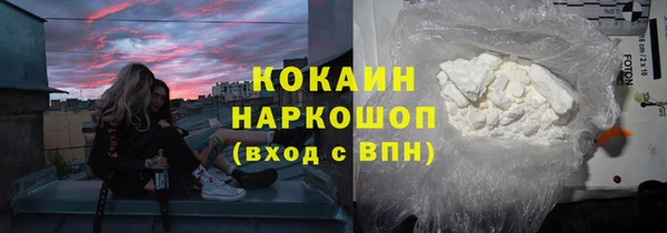 spice Богородицк