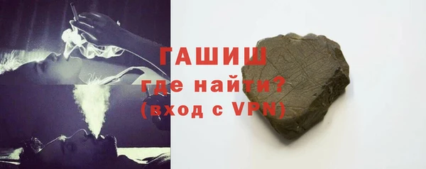 spice Богородицк
