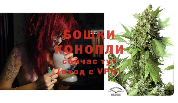 spice Богородицк