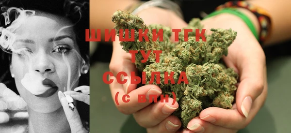 Альфа ПВП Белокуриха