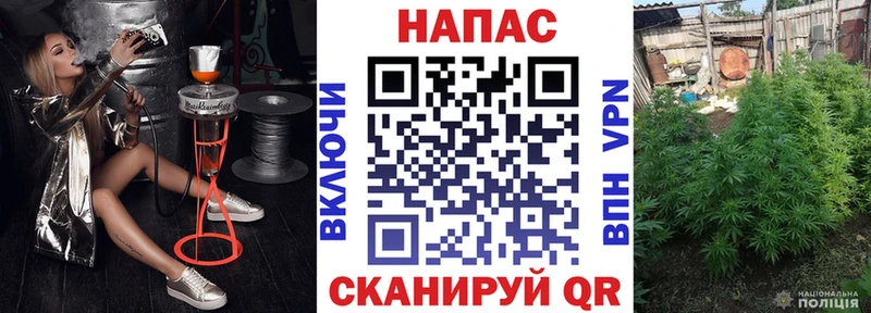 Каннабис планчик  Сковородино 